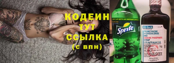 соль ск Няндома