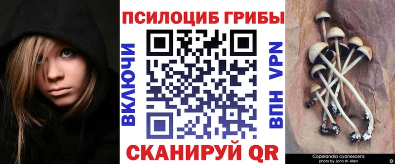 Псилоцибиновые грибы GOLDEN TEACHER  купить   Николаевск 